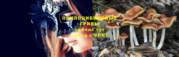 гашиш Богданович