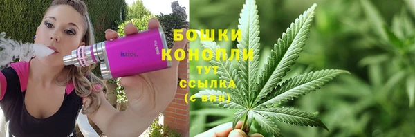 гашиш Богданович