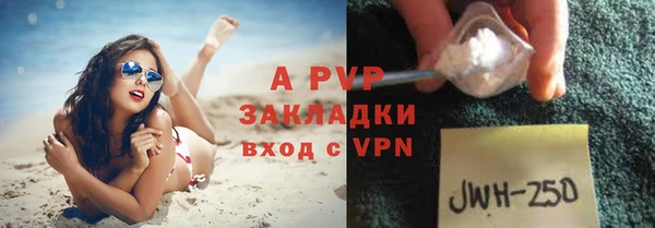 сатива Богородицк