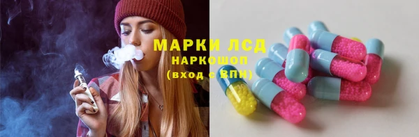 прущий лед Бородино