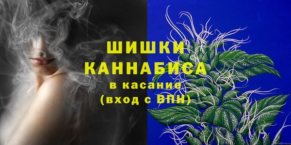 сатива Богородицк