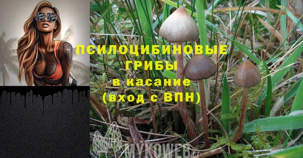 PSILOCYBIN Бугульма