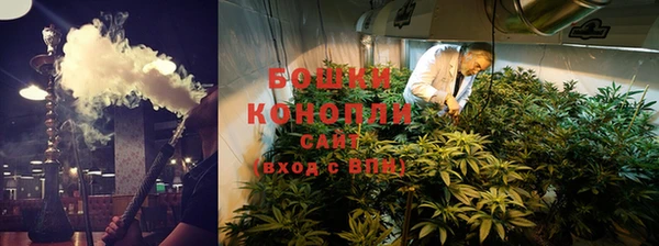 сатива Богородицк