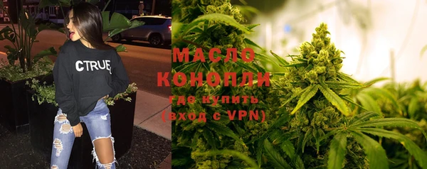 гашиш Богданович