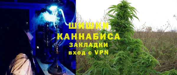 прущий лед Бородино