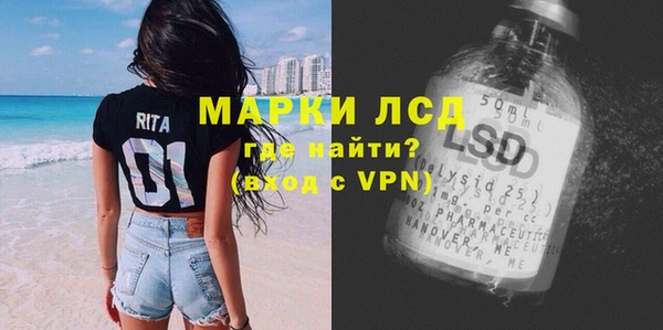 гашиш Богданович