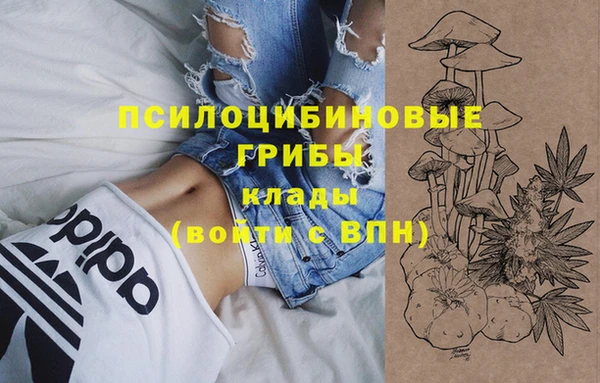 сатива Богородицк