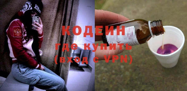 сатива Богородицк