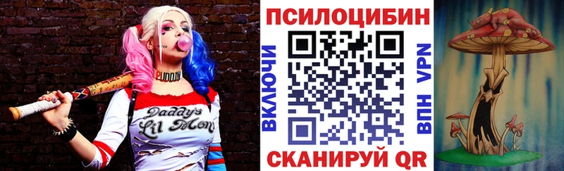 Купить закладки  Новосиль  Псилоцибиновые грибы ЛСД 